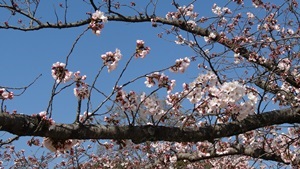 岡山から兵庫へ