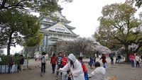 大阪城 2015/04/04 09:13:10
