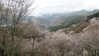 吉野山