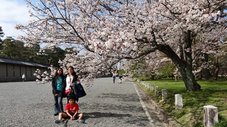 京都