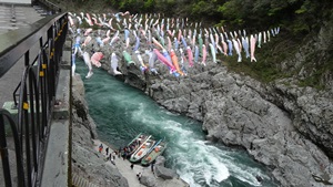 祖谷のかずら橋