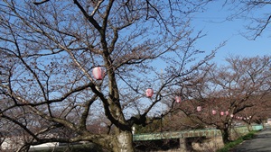 山口県