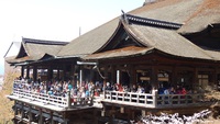 京都 2015/04/04 08:43:23