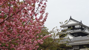 愛媛②