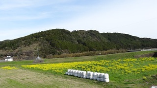 長崎・佐賀