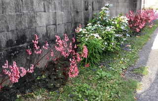 春