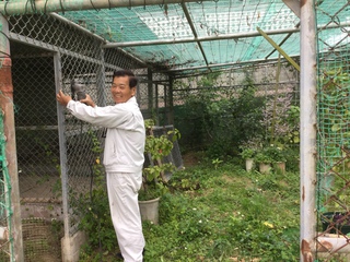 花*花クラブ・・・ちょうちょう園