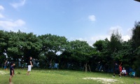 いとこ会(四世代) ビーチパーティー 2016/07/25 08:00:02