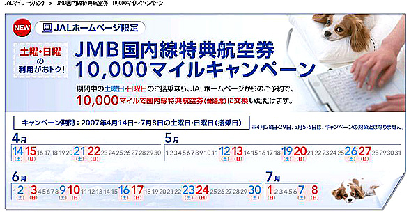 ＪＡＬ国内線特典航空券　10,000マイルで