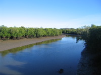 Mackay 2007/07/02 11:58:44