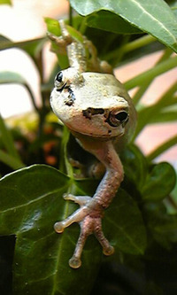 今年最高 2010/05/22 18:48:58