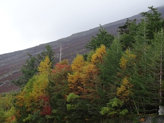 富士山