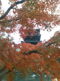 紅葉