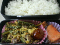 9/10 お弁当 2009/09/11 19:30:00