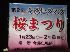 今帰仁グスク桜まつり