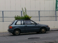 エコカー？ 2013/08/12 16:34:04