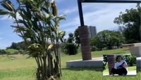 弾く撮る作る ^_^ 2024/08/26 14:31:30