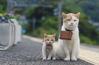 介護保険改正 2015/03/17 16:04:53