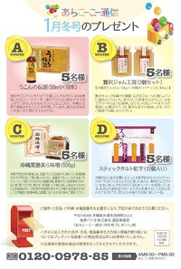 あちこーこー通信（2013冬号）