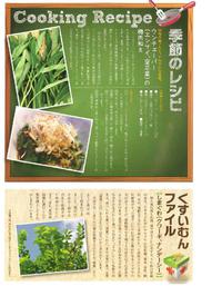 あちこーこー通信（2013夏号）