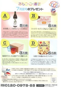 あちこーこー通信（2013夏号）