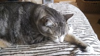 元気でした。 2017/03/18 11:35:14