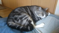 滞在延長 2017/10/03 11:18:02