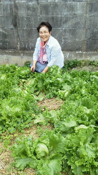 無農薬野菜 2015/03/17 17:11:53