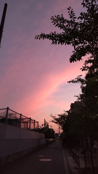 茜空 2022/06/17 21:03:04