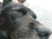 こんにちは。 2021/06/27 11:41:53