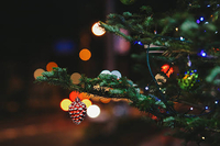 Christmas。 2022/12/24 08:41:29