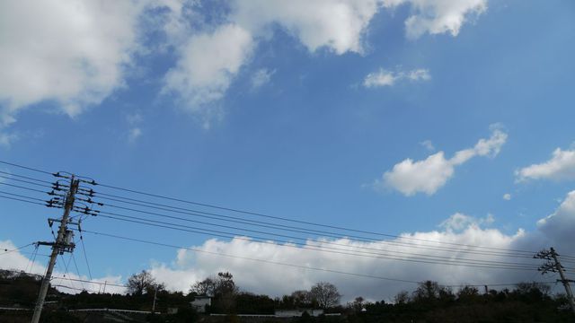 雨井の空