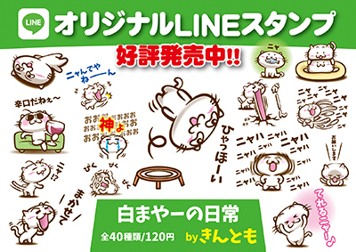 LINEスタンプ「白まやーの日常」