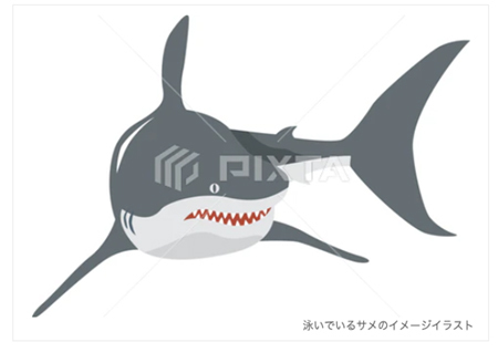 泳いでいるサメのイメージイラスト