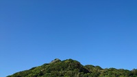 人生、なるようになってきた