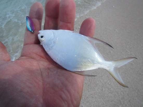 秋のハテノ浜釣行