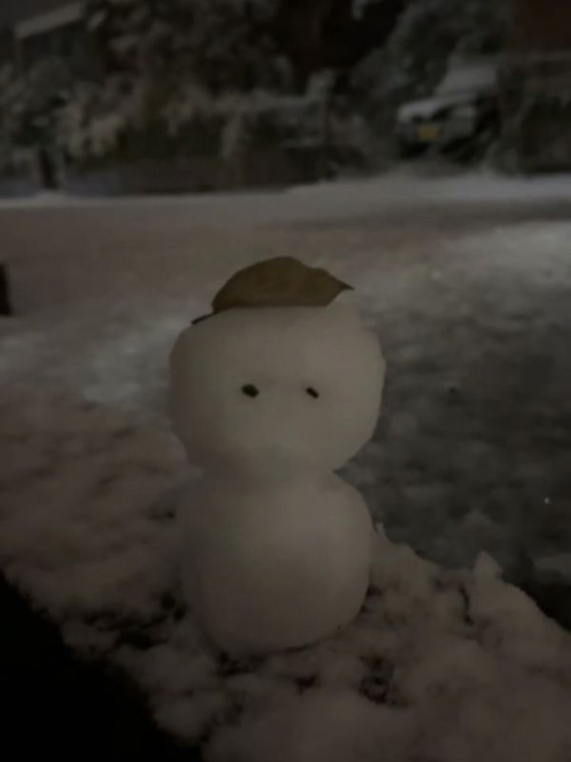 人生初作成雪だるま