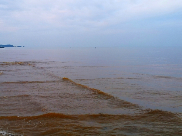 茶色に染まるやんばるの海 国頭の海よ いつもありがとう