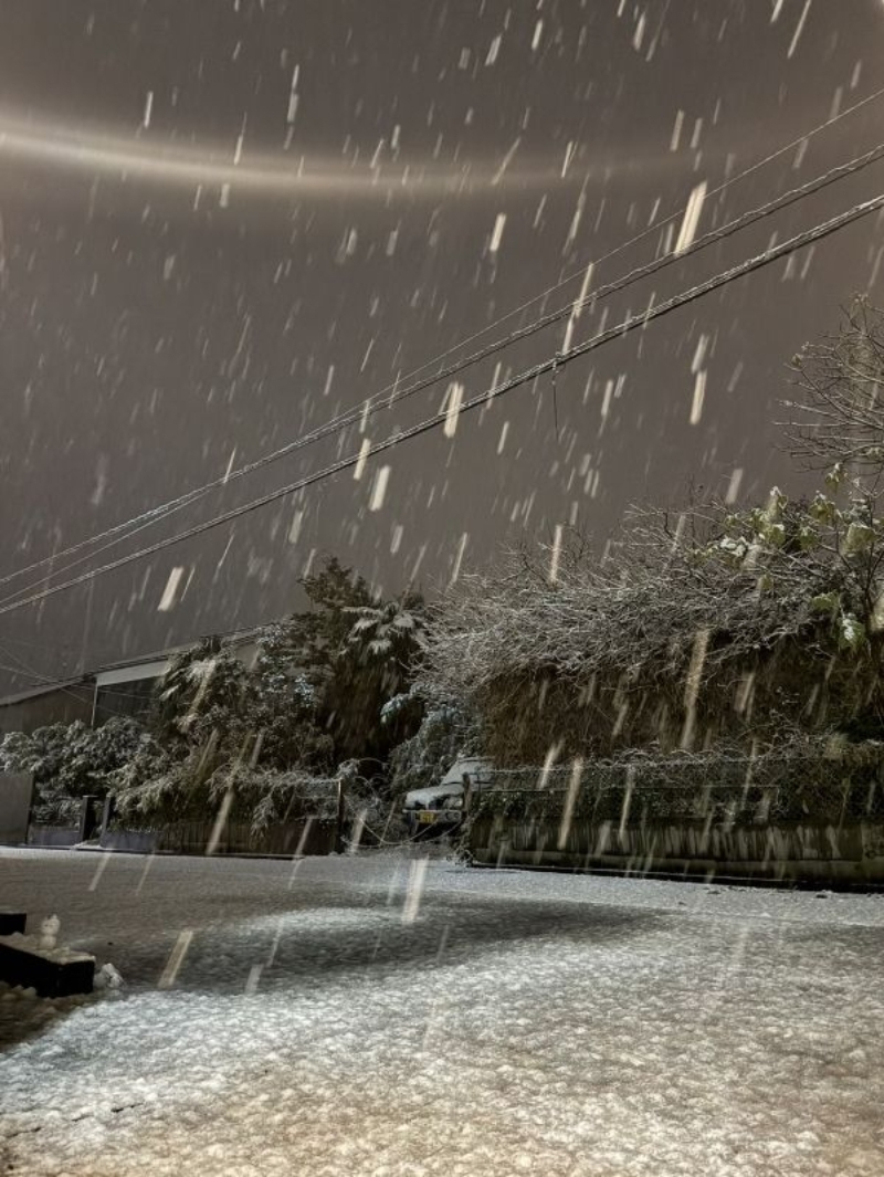 人生初作成雪だるま