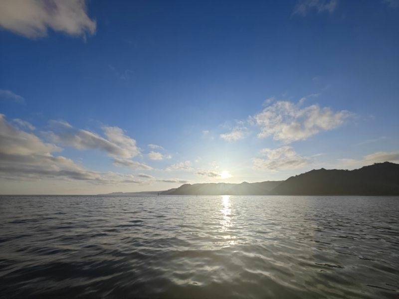 太陽の恵み