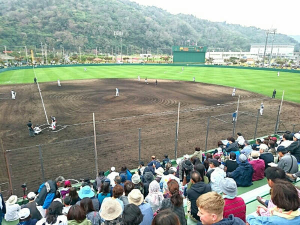 紅白 戦 日ハム