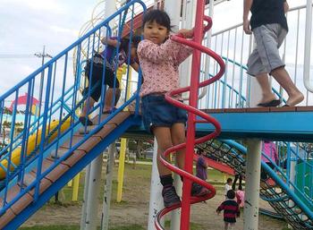 イルカ公園？