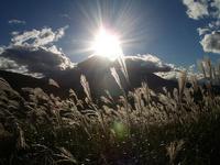★山梨旅行★ 2006/10/09 00:48:59