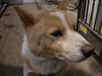 帰りたい・・・ 2006/05/06 18:34:59