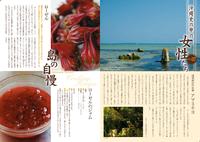 ゆんたくタイム（2011-11月号）