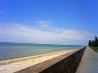 梅雨入りです！ 2009/05/20 14:35:17