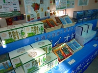 第34回沖縄の産業まつりに出店いたしました。