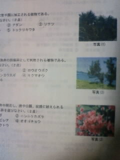 沖縄の地理⑥－地域限定通訳試験
