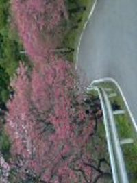 1月19日の記事 2006/01/19 13:58:41