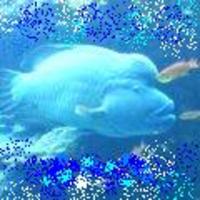 お母さんを許ちて